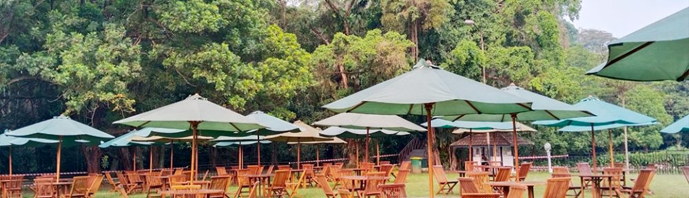 Sewa Tenda Parasol, Meja, Kursi Event Istana Bogor